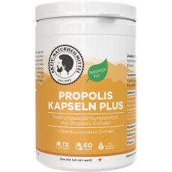 Propolis Kapseln